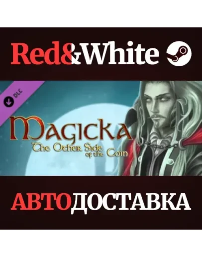 Magicka: The Other Side of the Coin DLC * STEAM RU