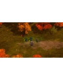 Magicka: The Other Side of the Coin DLC * STEAM RU
