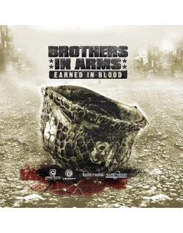 Brothers in Arms: Earned in Blood (Steam Gift Россия)