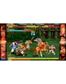 Capcom Beat 'Em Up Bundle (Steam Gift Россия)