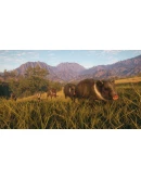 theHunter: Call of the Wild - Rancho del Arroyo Steam theHunter: Call of the Wild - Rancho del Arroyo Steam