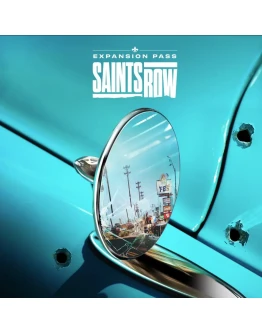 Saints Row - Expansion Pass (Steam Gift Россия)