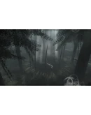 The Path * STEAM РОССИЯАВТОДОСТАВКА
