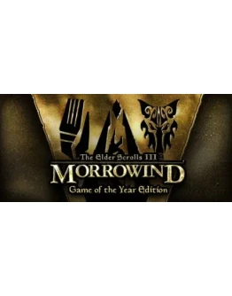 The Elder Scrolls 3: Morrowind Game of the Year Edition