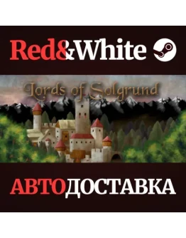 Lords of Solgrund * STEAM РОССИЯАВТОДОСТАВКА