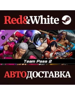 THE KING OF FIGHTERS XV - DLC Team Pass THE KING OF FIGHTERS XV - DLC Team Pass