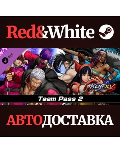 THE KING OF FIGHTERS XV - DLC Team Pass THE KING OF FIGHTERS XV - DLC Team Pass