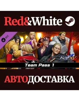 THE KING OF FIGHTERS XV - DLC TeamPass 