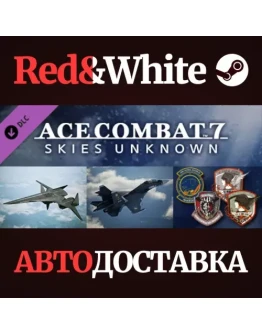 ACE COMBAT 7: SKIES UNKNOWN - ADF-01 FALKEN Set DLC ACE COMBAT 7: SKIES UNKNOWN - ADF-01 FALKEN Set DLC