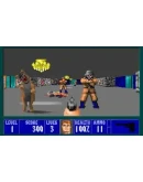 Wolfenstein 3D (Steam Gift Россия)