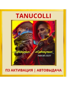 Cyberpunk 2077 (PS4/PS5/RU) П3 - Активация