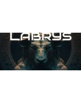 Labrys * STEAM РОССИЯ АВТОДОСТАВКА 0 КАРТЫ