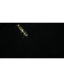 Pathogenesis: Overcome * STEAM РОССИЯАВТОДОСТАВКА