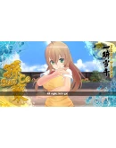SENRAN KAGURA ESTIVAL VERSUS - Ikki Tsen DLC SENRAN KAGURA ESTIVAL VERSUS - Ikki Tsen DLC
