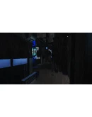 Blue Maiden * STEAM РОССИЯ АВТОДОСТАВКА 0 КАРТЫ