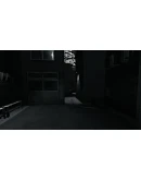 Blue Maiden * STEAM РОССИЯ АВТОДОСТАВКА 0 КАРТЫ