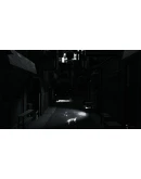 Blue Maiden * STEAM РОССИЯ АВТОДОСТАВКА 0 КАРТЫ