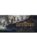 Pillars of Eternity Collection (I + II) Steam Ключ