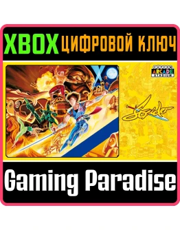 CAPCOM ARCADE STADIUM:STRIDERXBOX ONE/XSКЛЮЧ