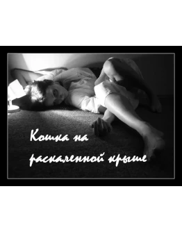 Кошка на раскаленной крыше