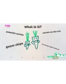 DRAWFUL 2XBOX ONE/XSКЛЮЧ