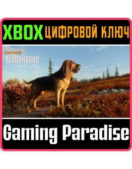 THEHUNTER: CALL OF THE WILD - BLOODHOUNDXBOX КЛЮЧ