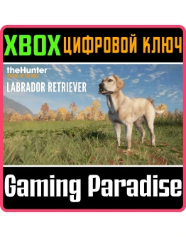 THEHUNTER: CALL OF THE WILD - LABRADOR RETRIEVERXBOX