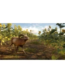 CALL OF THE WILD - CUATRO COLINAS GAME RESERVEXBOX CALL OF THE WILD - CUATRO COLINAS GAME RESERVEXBOX