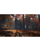 CALL OF THE WILD - NEW ENGLAND MOUNTAINSXBOX КЛЮЧ