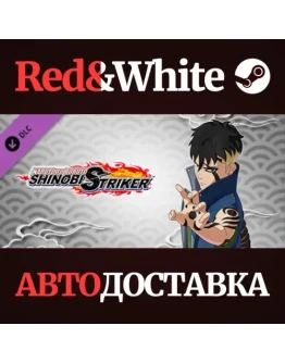 NTBSS Master Character Training Pack - Kawaki DLC NTBSS Master Character Training Pack - Kawaki DLC