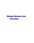 Bemis Wamilton Racing Steam РУ+UA+KZ+СНГ