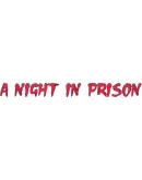 A Night in Prison Steam РУ+UA+KZ+СНГ