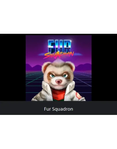 Fur Squadron PS4/PS5 ТУРЦИЯ