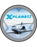 X-Plane 12Steam (Region Free)(GLOBAL)