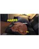 Aquarist VR АВТОДОСТАВКА STEAM GIFT РОССИЯ