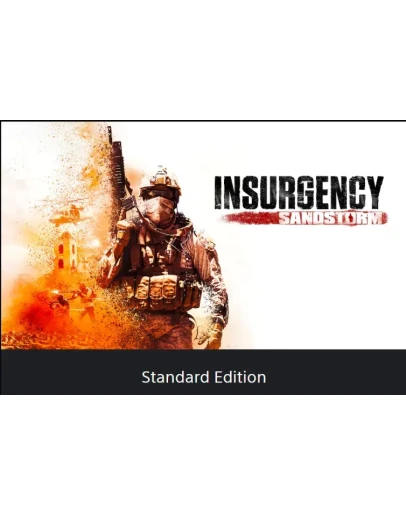 Insurgency: Sandstorm PS4/PS5 ТУРЦИЯ