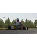 Kart Racing Pro АВТОДОСТАВКА STEAM РОССИЯ