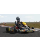 Kart Racing Pro АВТОДОСТАВКА STEAM РОССИЯ