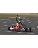Kart Racing Pro АВТОДОСТАВКА STEAM РОССИЯ