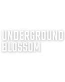 Underground Blossom Steam РУ+UA+KZ+СНГ