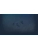 Ringborn Steam РУ+UA+KZ+СНГ Ringborn Steam РУ+UA+KZ+СНГ