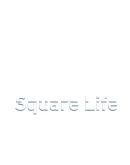 Square Life Steam РУ+UA+KZ+СНГ