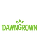 Dawngrown Steam РУ+UA+KZ+СНГ Dawngrown Steam РУ+UA+KZ+СНГ