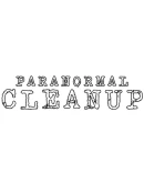 Paranormal Cleanup Steam РУ+UA+KZ+СНГ