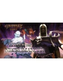 Gauntlet - Necromancer (Steam Gift Россия)