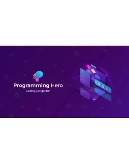 Programming Hero PRO 12/ мес. на Ваш аккаунт