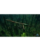Beasts of Bermuda - Elasmosaurus Supporter Warpaint Beasts of Bermuda - Elasmosaurus Supporter Warpaint
