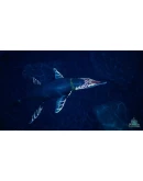 Beasts of Bermuda - Kronosaurus Supporter Warpaint Beasts of Bermuda - Kronosaurus Supporter Warpaint