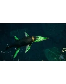 Beasts of Bermuda - Kronosaurus Supporter Warpaint Beasts of Bermuda - Kronosaurus Supporter Warpaint