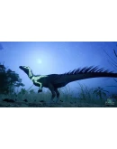 Beasts of Bermuda - Oryctodromeus Supporter Warpaint